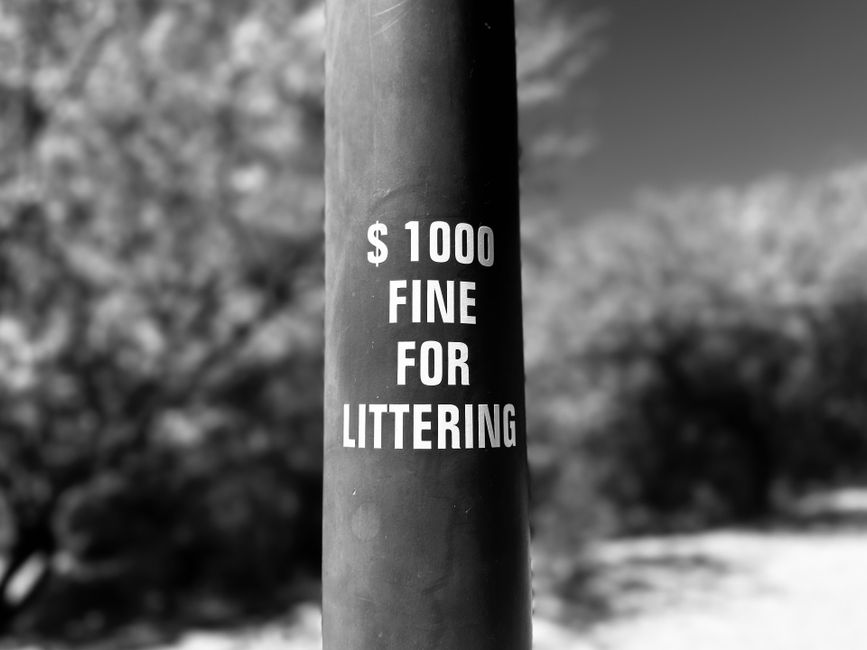 A close-up photograph of a cylindrical metal pole with a matte finish, painted in dark grey, standing upright outdoors against a blurred background of trees and sky. The pole features a white sticker 
